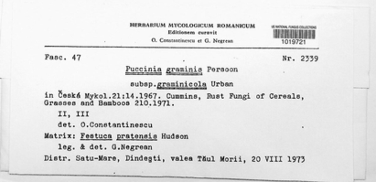 Puccinia graminis image